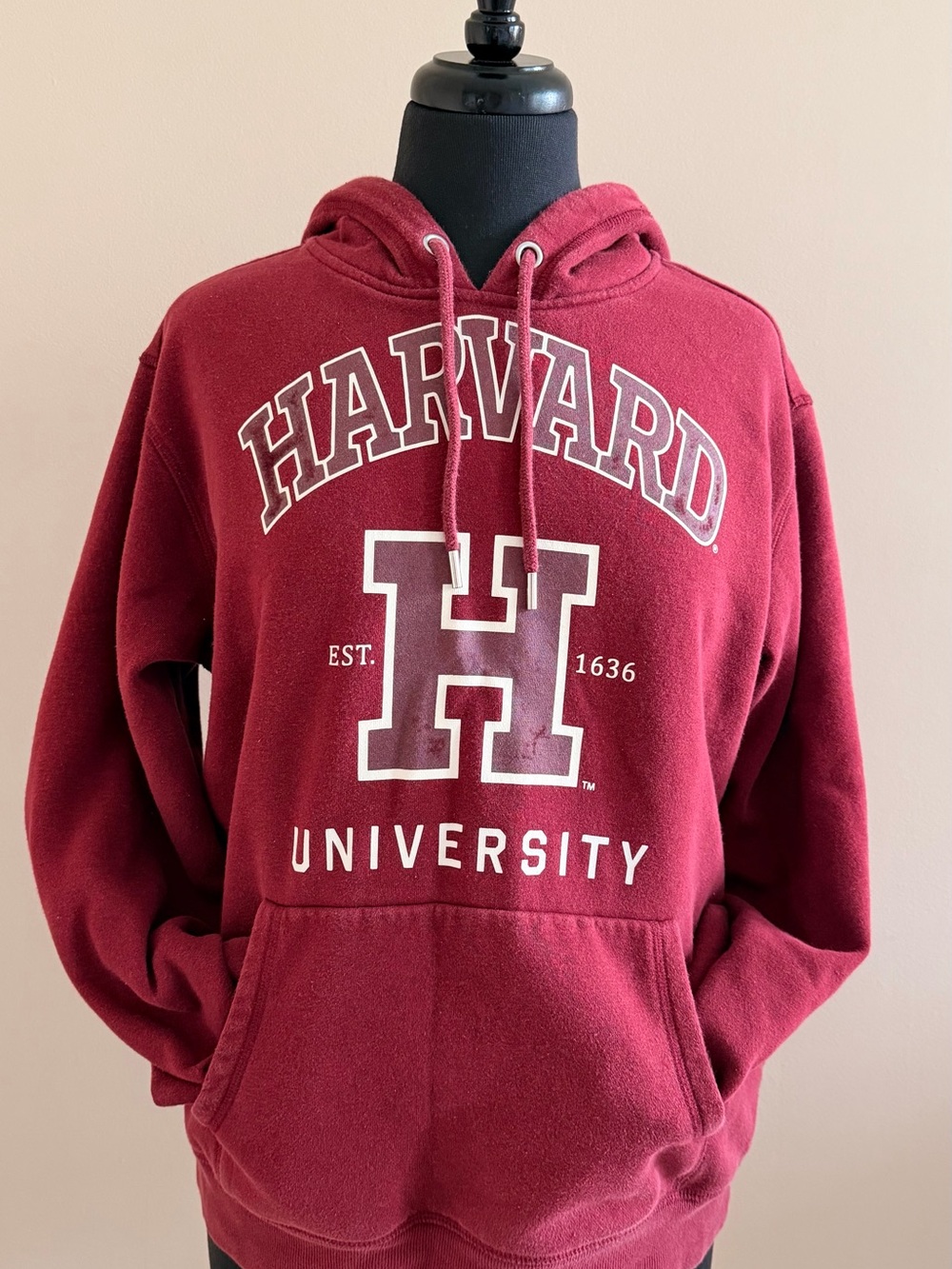 H&M Men's Maroon Harvard Graphic Hoodie